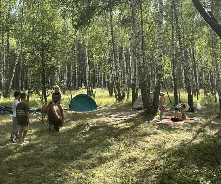 poni-slider-6_result